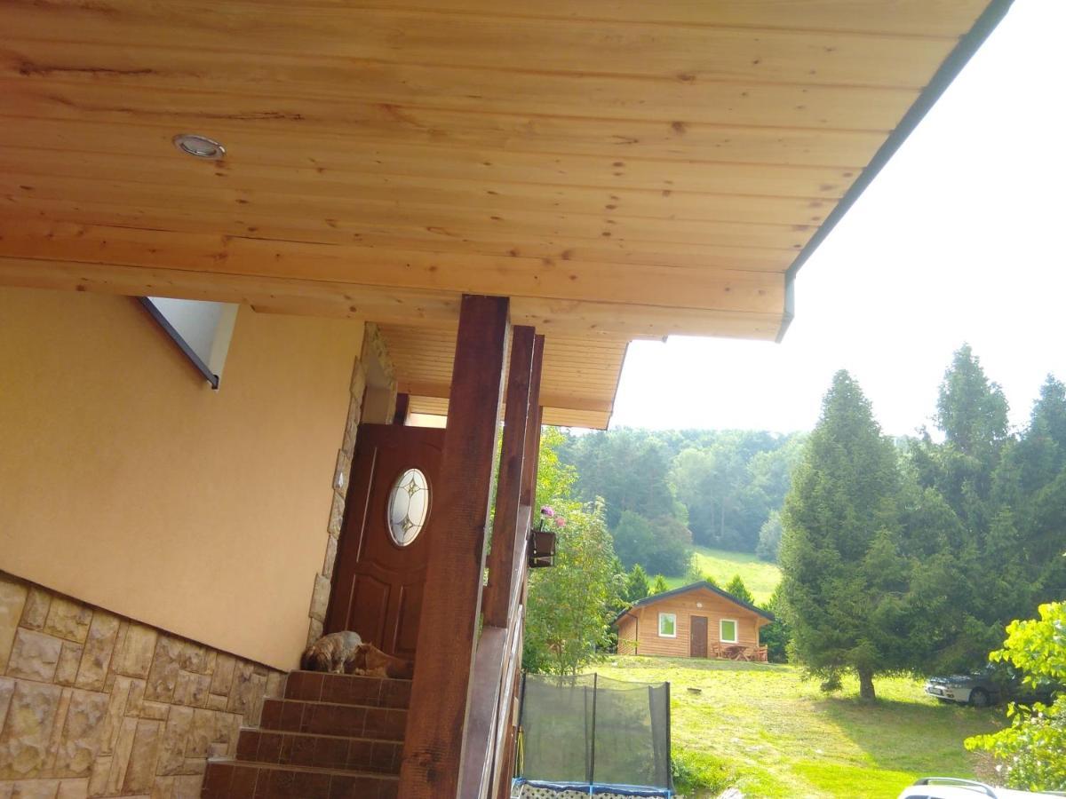 Noclegi Pod Lasem Solina 20 Exterior photo